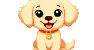 How to Draw a Simple Dog