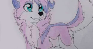 Drawing dog