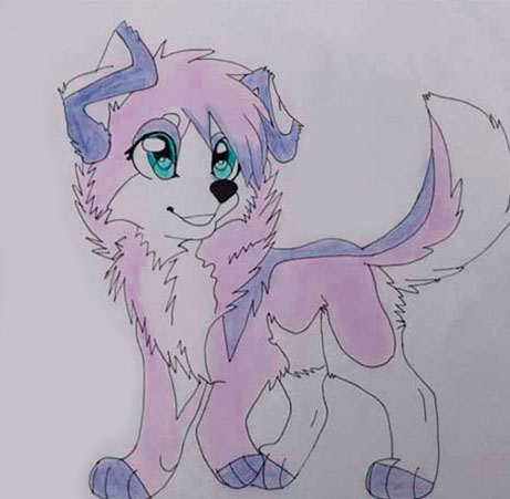 Drawing dog