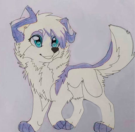 Drawing dog