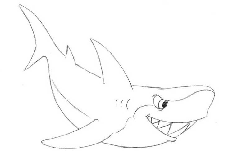 How to draw a shark