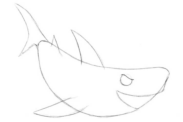 How to draw a shark