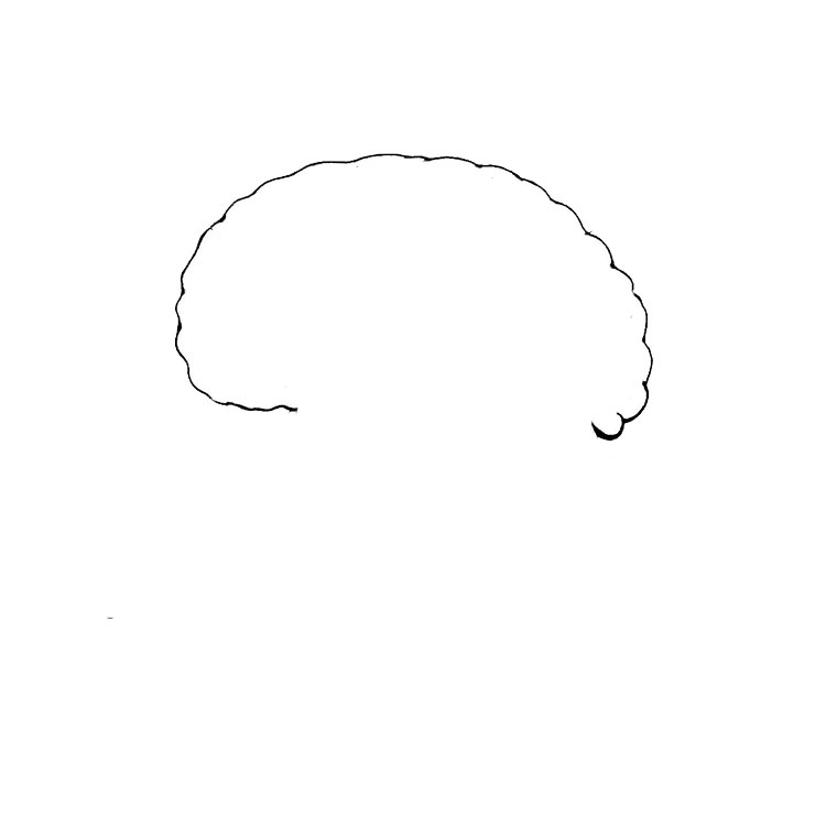 How to draw a brain
