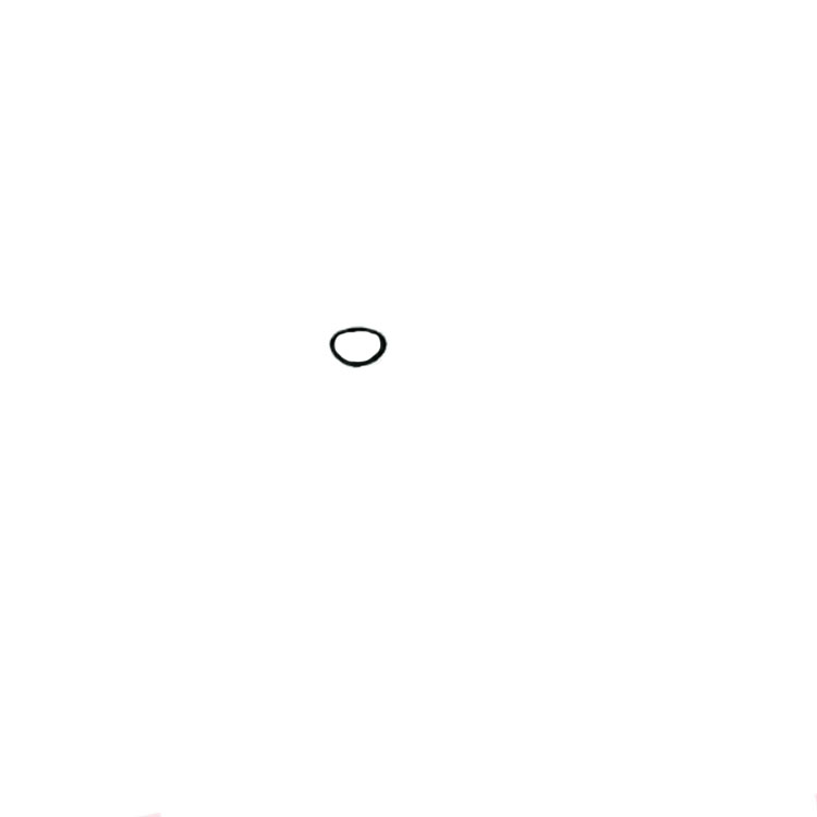How to draw a panda