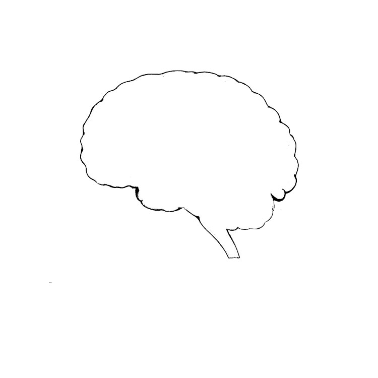 How to draw a brain
