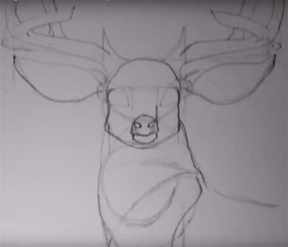 7 options How to draw a deer with detailed pictures ...