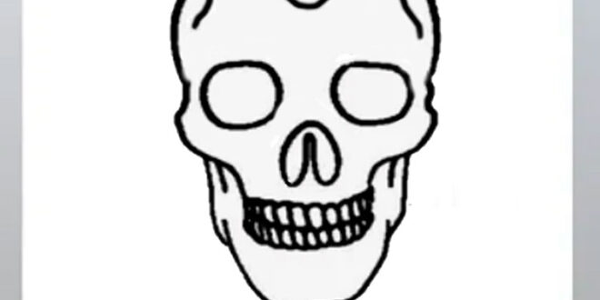 How to draw a skull