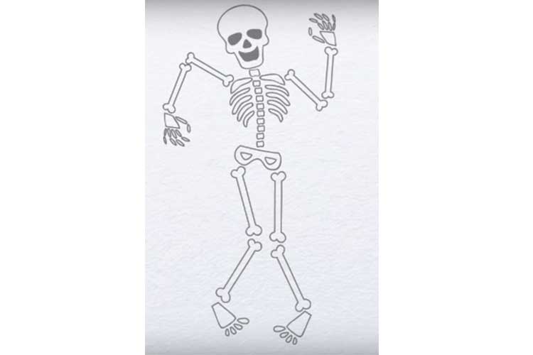 Drawing skeleton