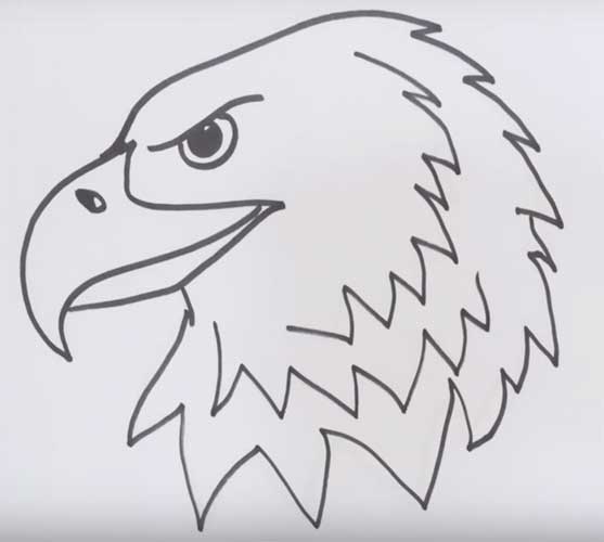 How to draw an eagle 