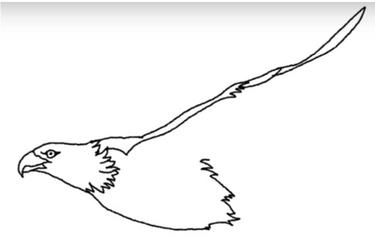 How to draw an eagle flying