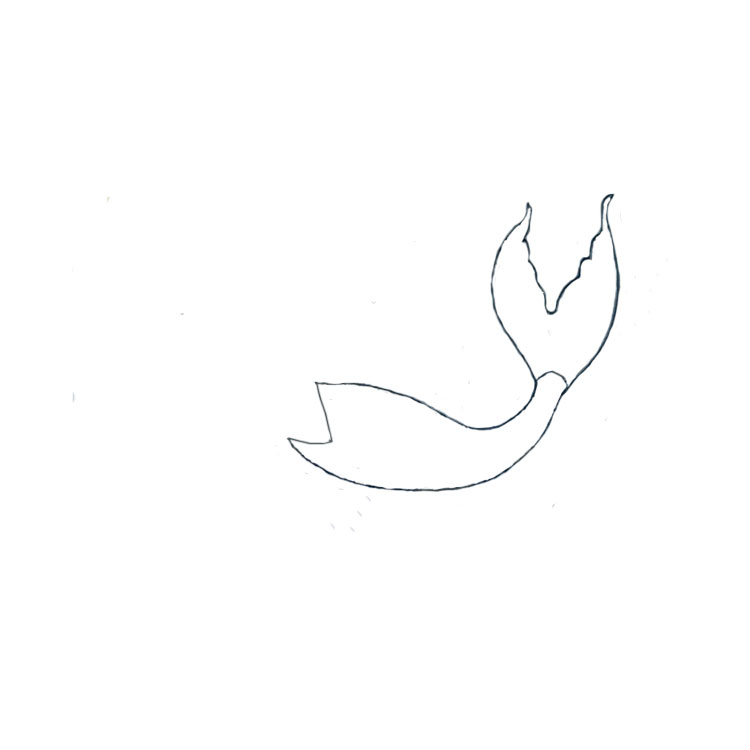 How to draw a mermaid