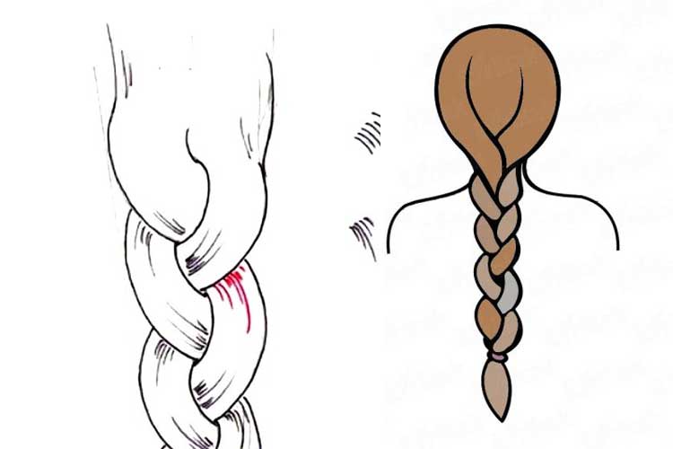 How to Draw a Braids Black, French, Tumblr, Step By Step