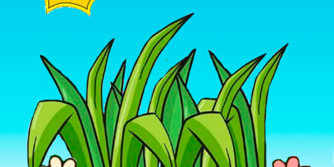 How to draw grass