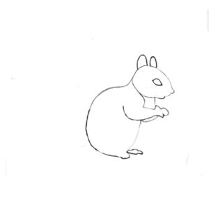 Squirrel Basic Shape How to draw a squirrel: For Beginners and Realistic