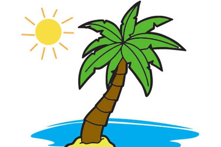 How to draw a palm tree Step By Step, Simply and Easily