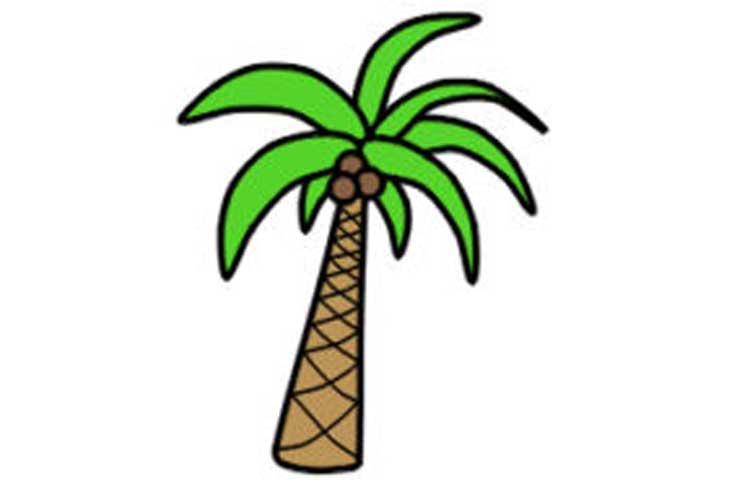 how-to-draw-a-palm-tree-step-by-step-simply-and-easily