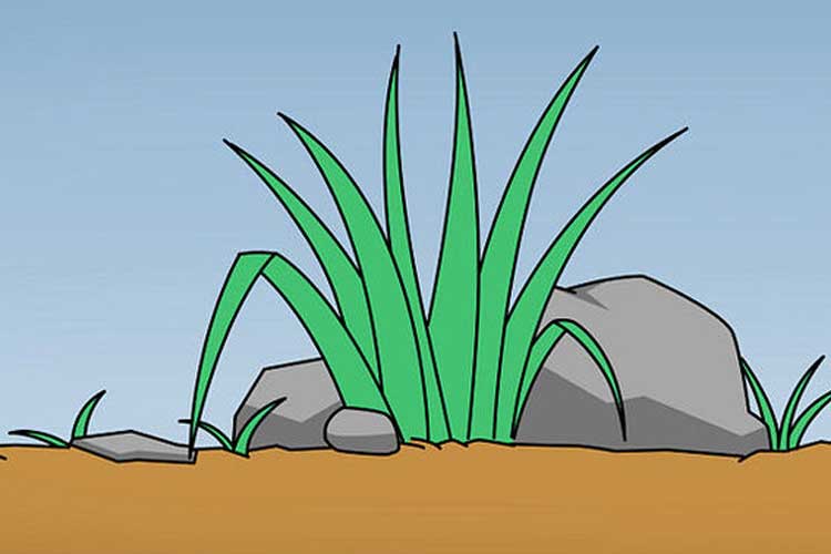 How To Draw Easy Grass Design Talk