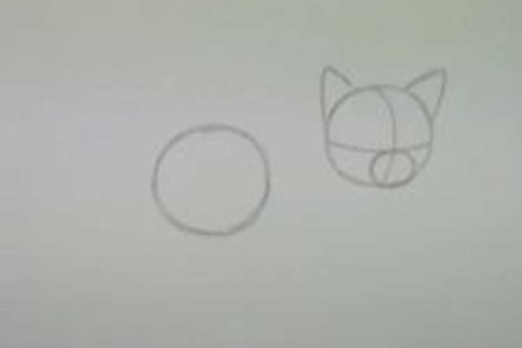 How to draw a Kitten: Face, Cute, Easy, Cat from Kids