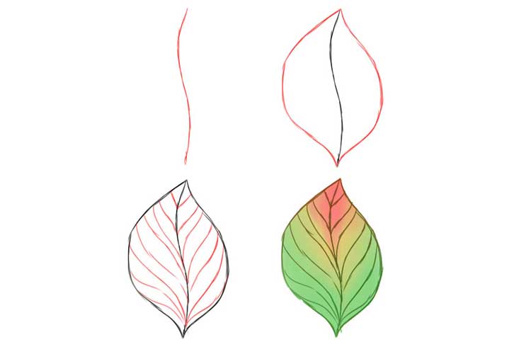 How to draw leaves 