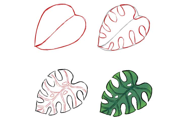 How to draw leaves 