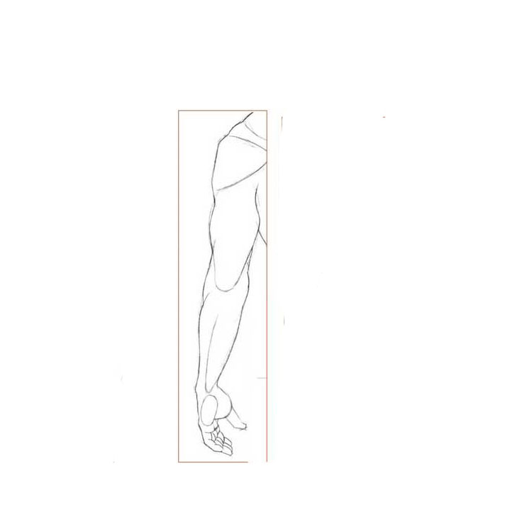 How to draw arms