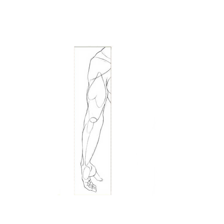 How to draw arms