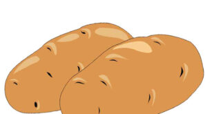 Potato drawing