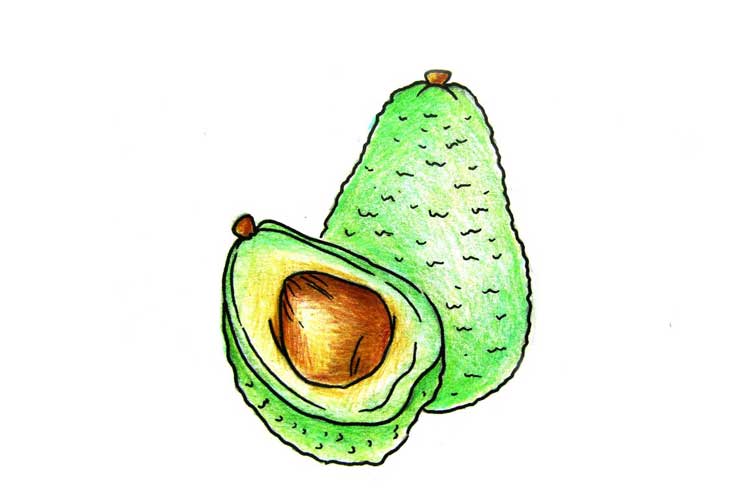 Avocado drawing Easy, Cute and Step By Step