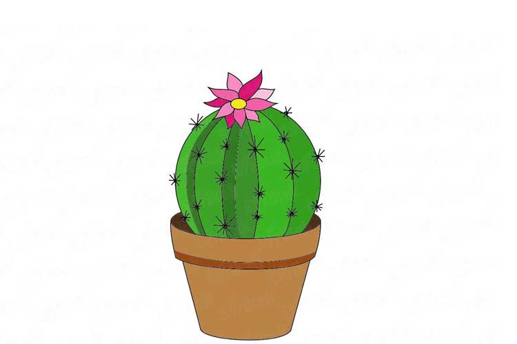 cactus drawing