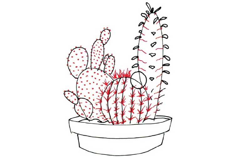 How to draw a cactus 