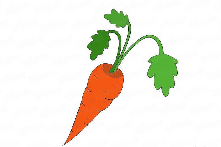 Carrot Drawing: Cute, Step by Step, Cartoon, Line and for Kids