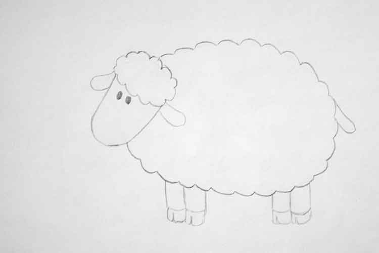 Lamb Drawing