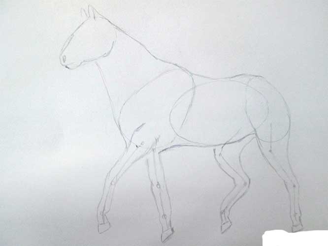 how to draw a horse 
