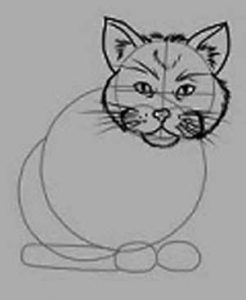 How to Draw a Cat: Front View, Sitting Front View and Side View