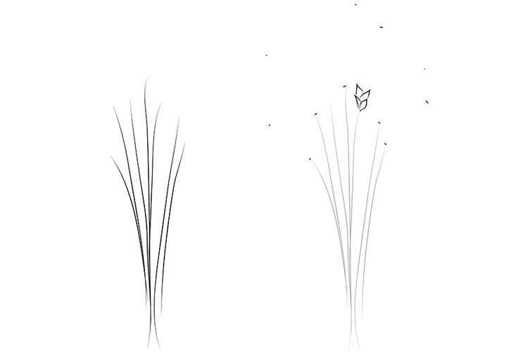 Wheat Drawing Easy