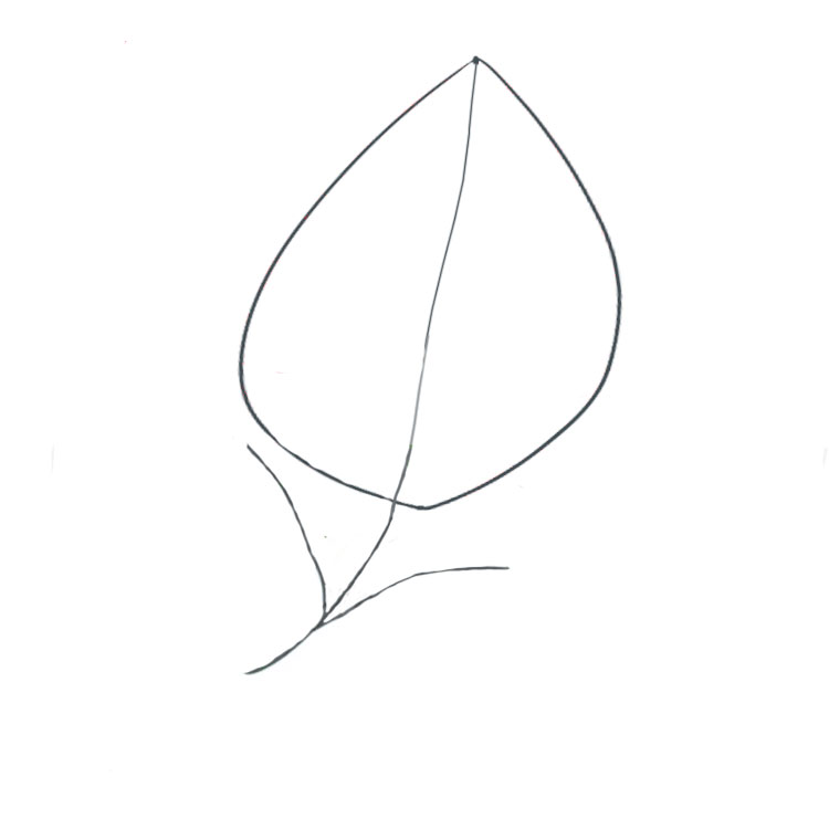 Lilac Drawing