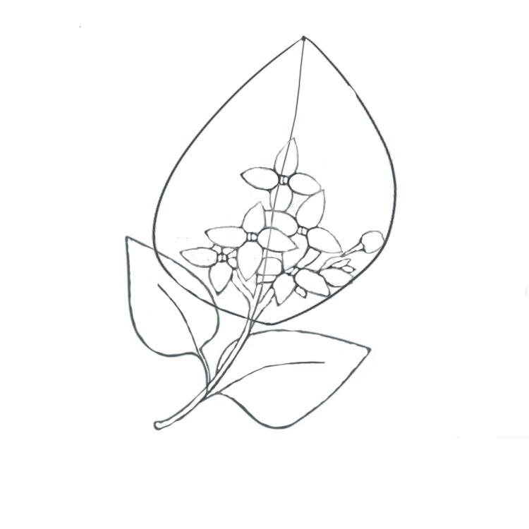 Lilac Drawing