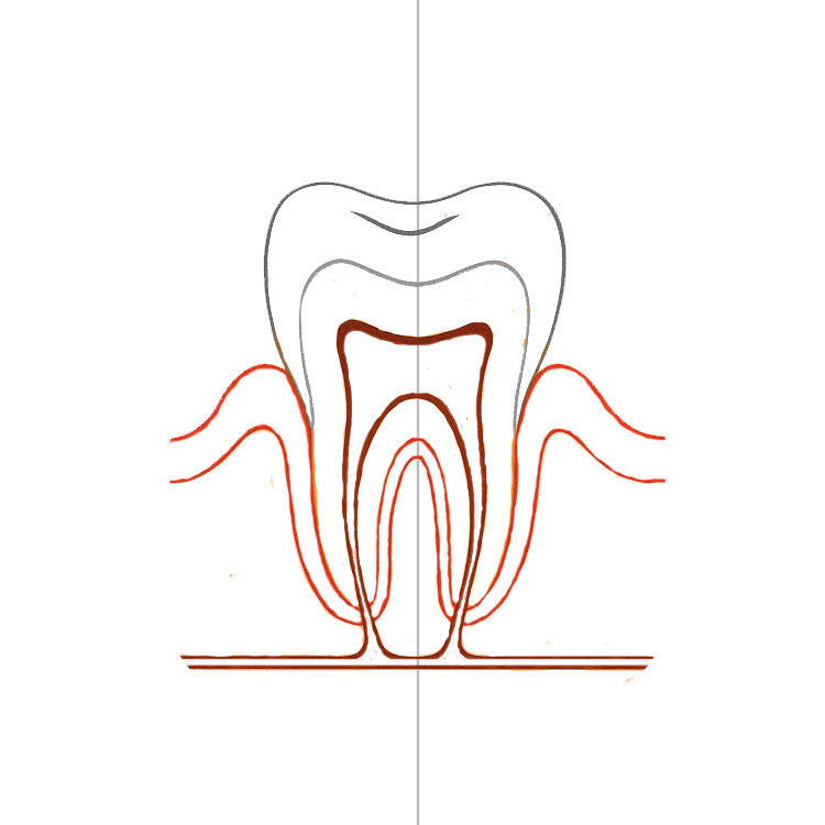 Tooth Drawing