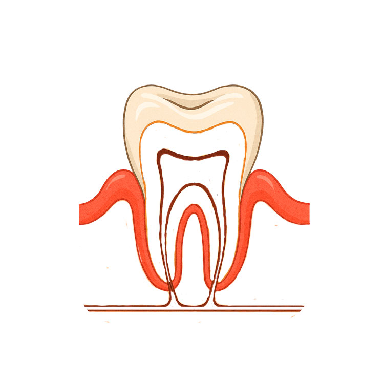 Tooth Drawing