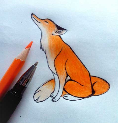 Fox Drawing 