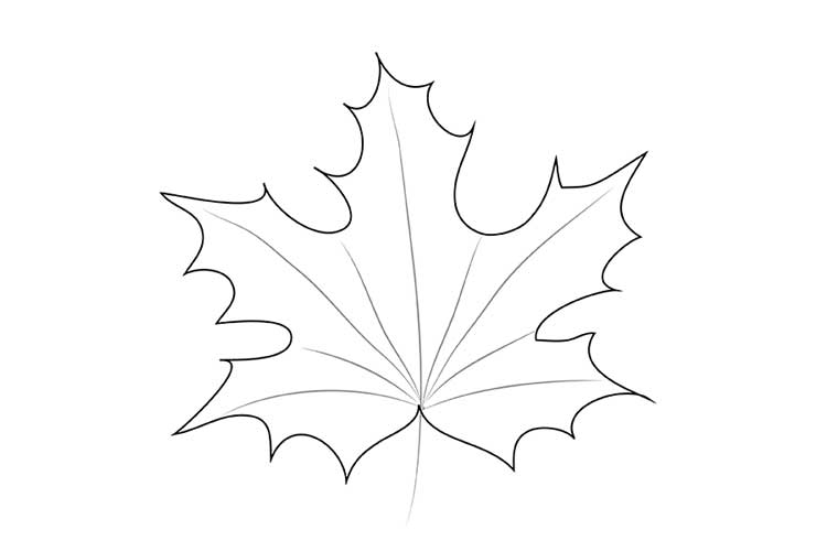 Hand Drawn Autumn Maple Leaf Contour or Outline... - Stock Illustration  [81480293] - PIXTA