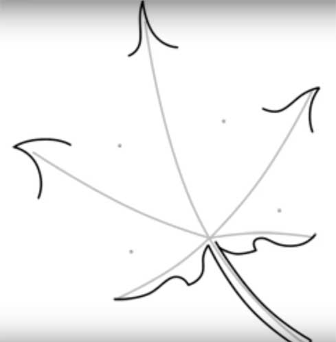 Maple leaf drawing Easy