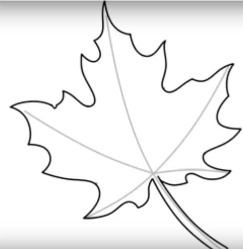 Maple leaf drawing Easy