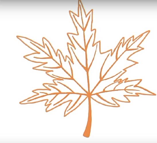 Maple leaf drawing Simple