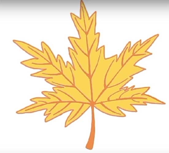 Maple leaf drawing Simple