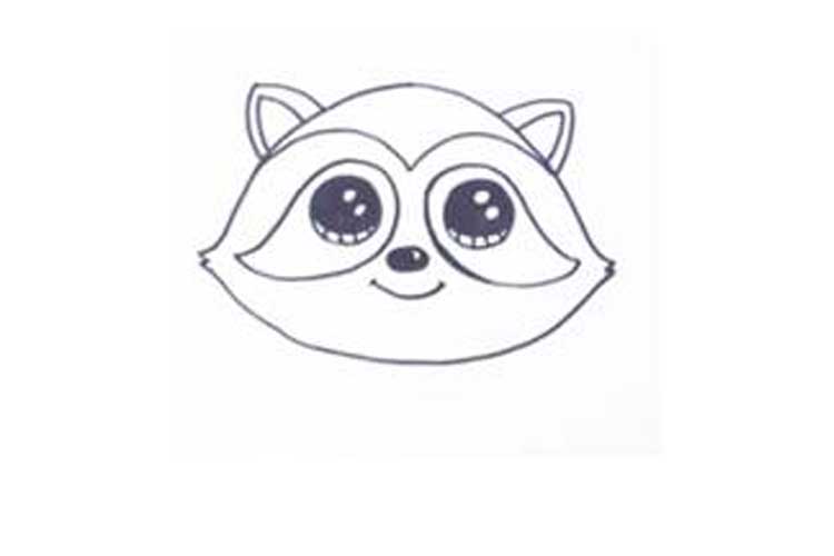 Raccoon Drawing