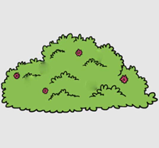 How To Draw a Bush