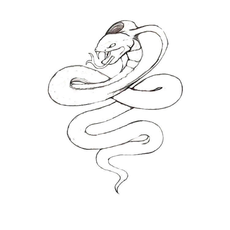 Snake Drawing Simple Cute And Pictures Easy