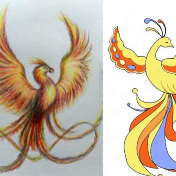 Phoenix Drawing Easy With Colour