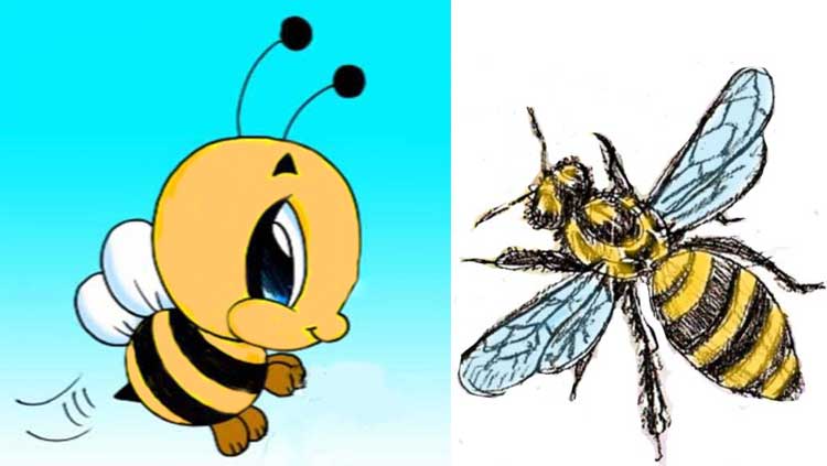 How to Draw a Bee: Easy, Cute and Simple